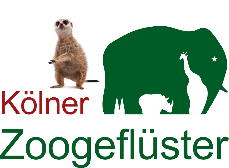 Kölner Zoogeflüster